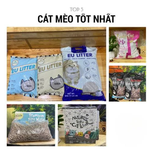 Review cát mèo tốt nhất