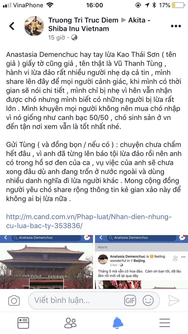 Bài viết của hoa hậu Trương Tri Trúc Diễm về tên lừa đảo bán chó Shiba nhập khẩu Vũ Thanh Tùng