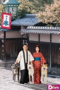 Chó Akita Inu có lịch sử hàng ngàn năm.