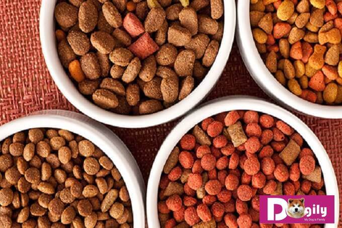 Thức ăn hạt khô khá tiện dụng và đầy đủ chất dinh dưỡng cho chó Shiba.