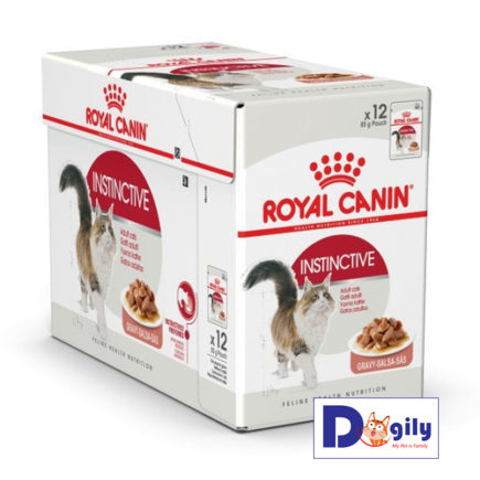 Thức ăn cho mèo Royal Canin đang bán tại hệ thống Dogily Petshop