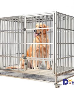 Một mẫu chuồng chó inox dành cho chó có kích thước lớn như Golden Retriever.