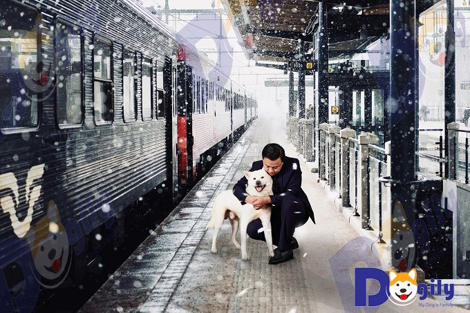 Hình ảnh tái hiện cảnh chú chó Hachiko đón giáo sư Ueno tại nhà ga Shibuya của Dogily Petshop phiên bản... 2019.