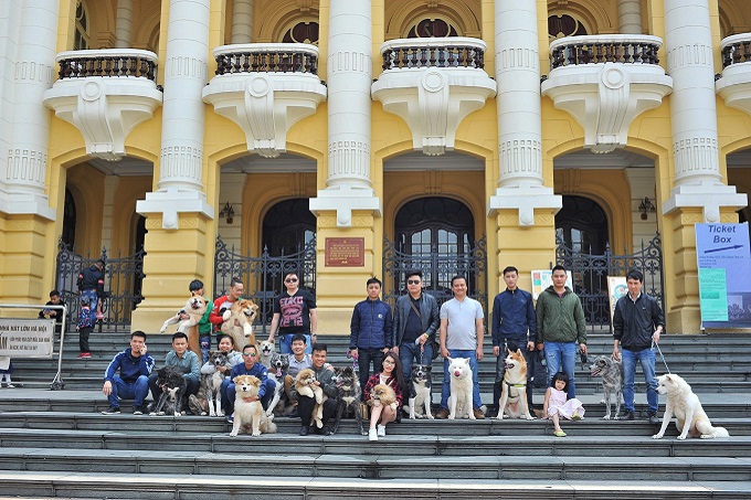 Team Dogily Petshop và Hội những người yêu Akita Inu Việt Nam tại Nhà hát lớn, Hà Nội năm 2018.