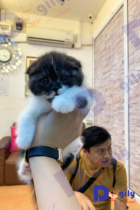 Ảnh: Anh Hoàng Long, Founder của hệ thống Dogily Petshop trong một chuyến tham quan tại chợ thú cưng Chatuchak (Bangkok, Thailand).