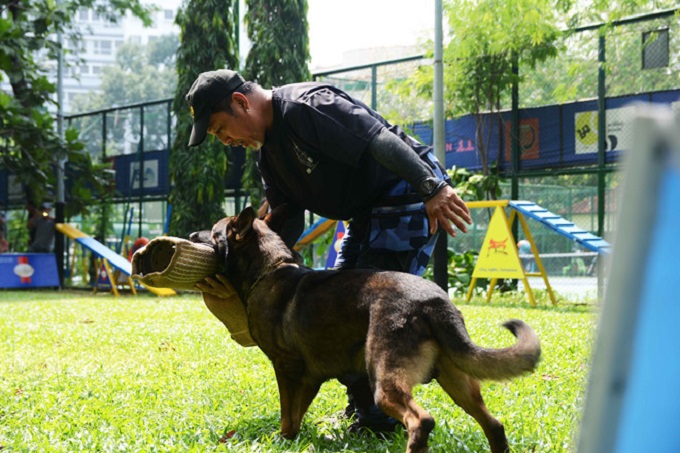 Huấn luyện viên Trương Luật và chú chó Becgie - Ảnh: Hoài Nhân