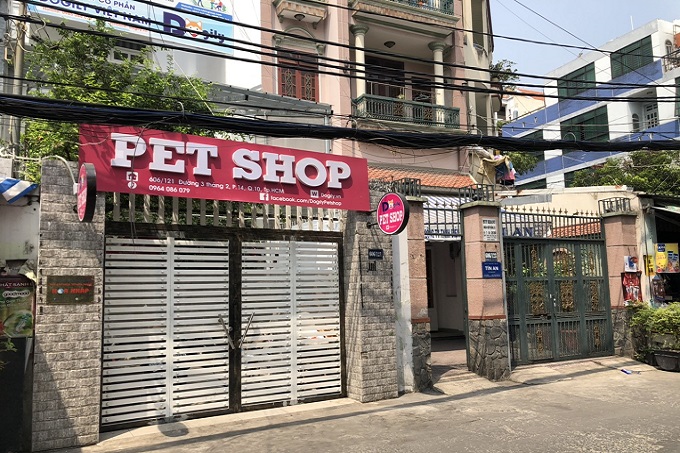 Cửa hàng bán chó Pomeranian Phốc sóc Dogily Petshop Ba Tháng Hai, quận 10, Tphcm