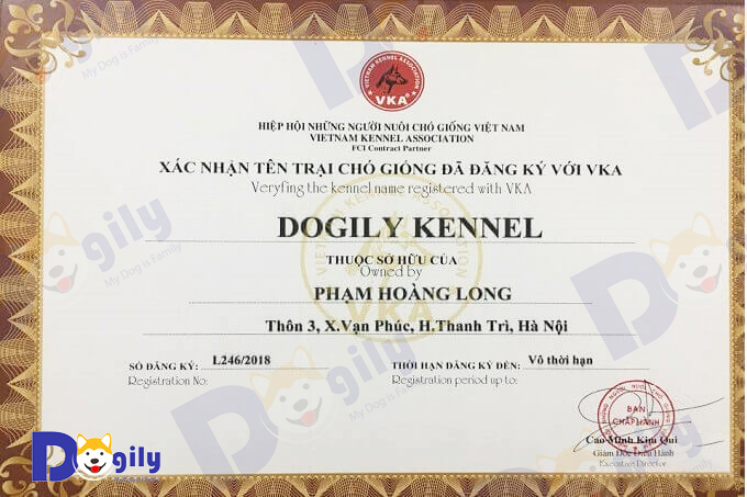 Giấy chứng nhận thành viên Hiệp hội những người nuôi chó cảnh giống tại Việt Nam (VKA) của trang trại Dogily Kennel.