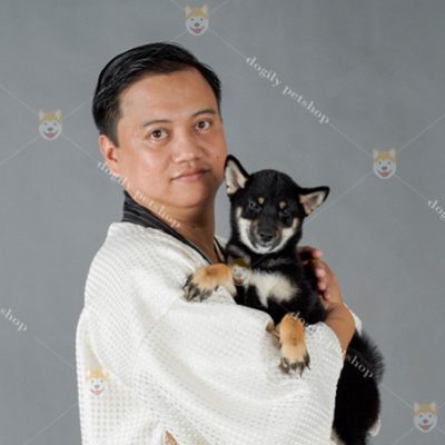 Sbd00048 - Dogily Petshop - Chó Mèo Cảnh, Thú Cưng