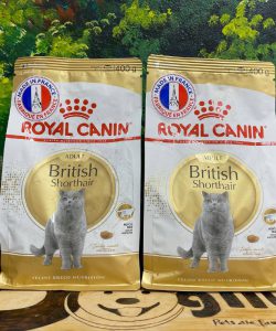 Hạt Royal Canin Adult British Shorthair 400g