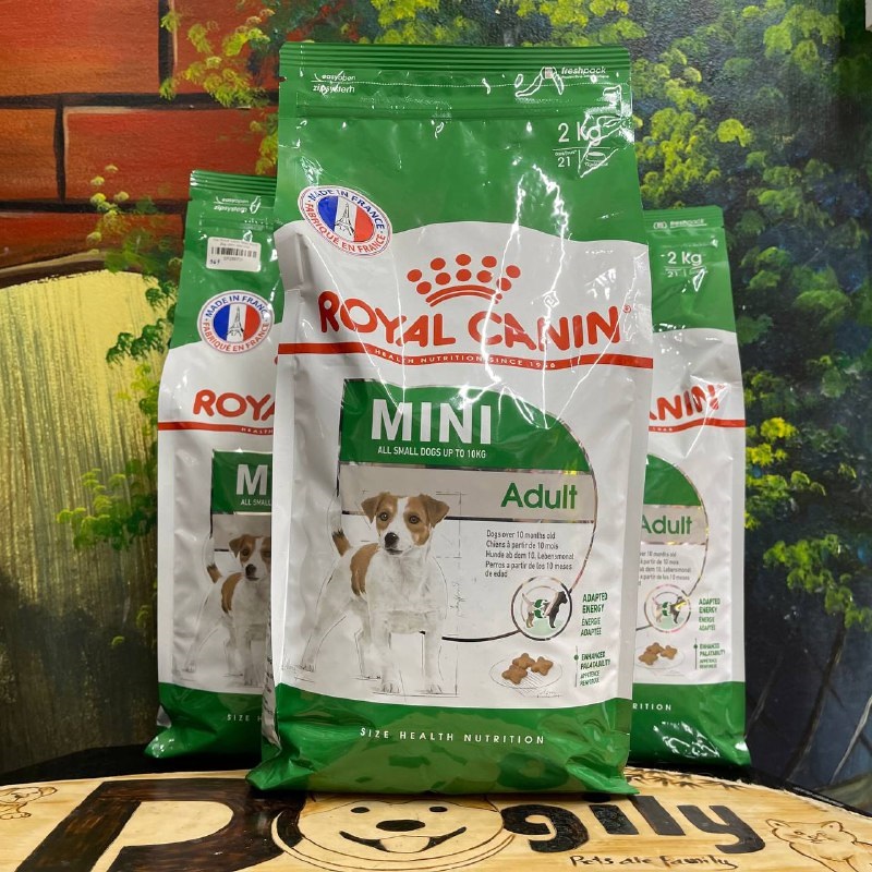 Thức ăn hạt cho chó Royal Canin Mini Adult 2kg