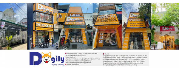 Chuỗi hệ thống các cửa hàng Dogily Petshop tại Hà Nội, TP.HCM và Đà Lạt