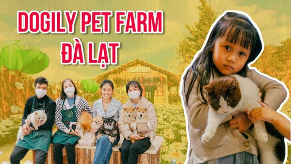Nông trại chó mèo, thú cưng Dogily Farm Đà Lạt