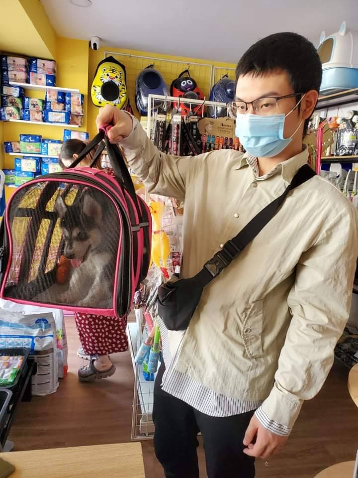 Khách hàng mua chó Husky tại Dogily Petshop 95 Nghi Tàm